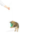 Huxley & Kent Kitty Klaw Lime Teasers 2pk Cat Wand Refill Cat Toy - Poudre Pet & Feed Supply 2